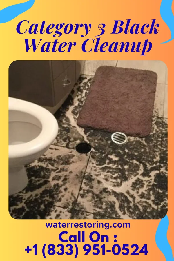 Category 3 Black Water Cleanup in Cedar Glen Lakes, NJ