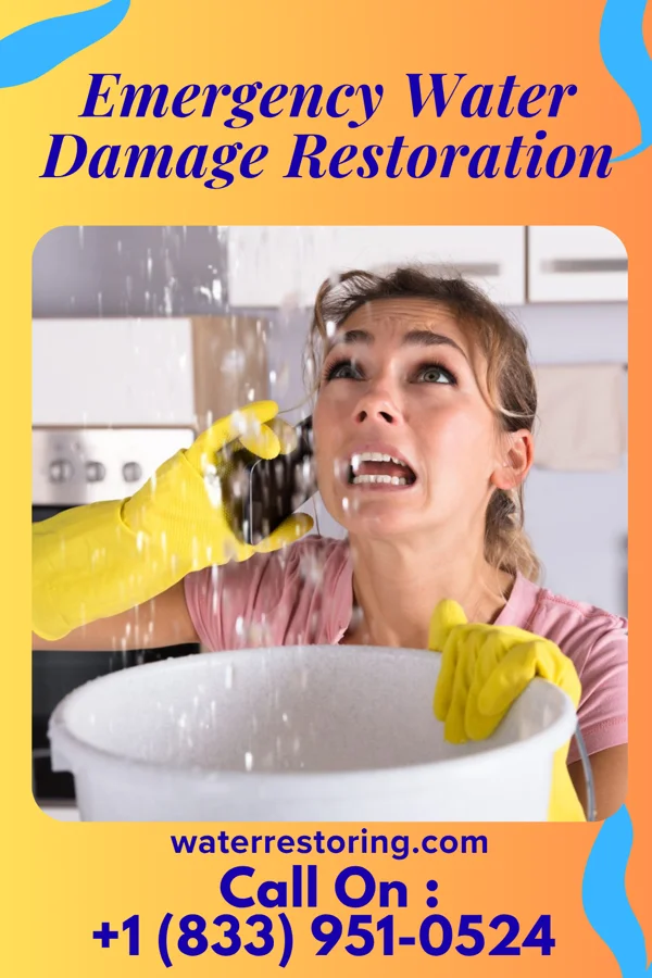 Emergency Water Damage Restoration in Cedar Glen Lakes, NJ