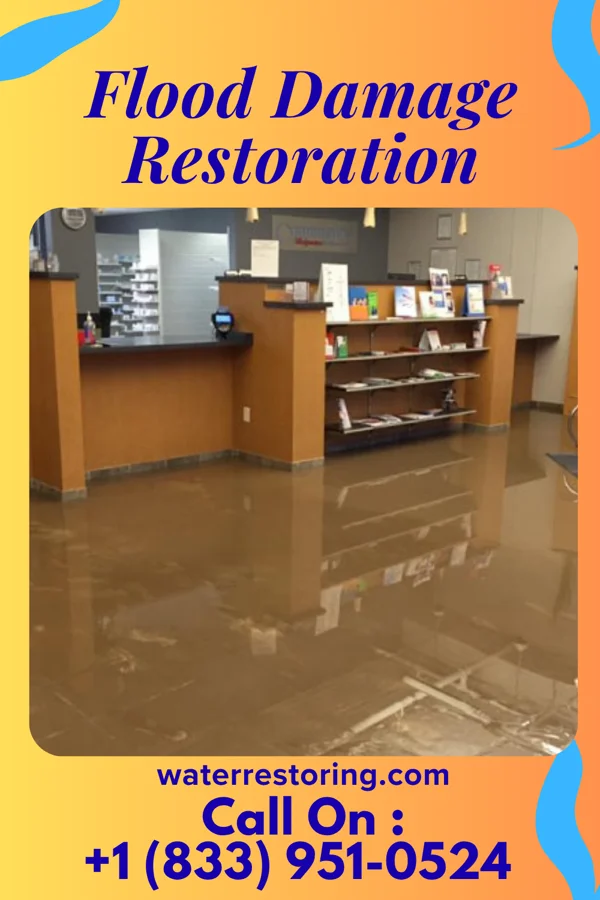 Flood Damage Restoration in Cedar Glen Lakes, NJ