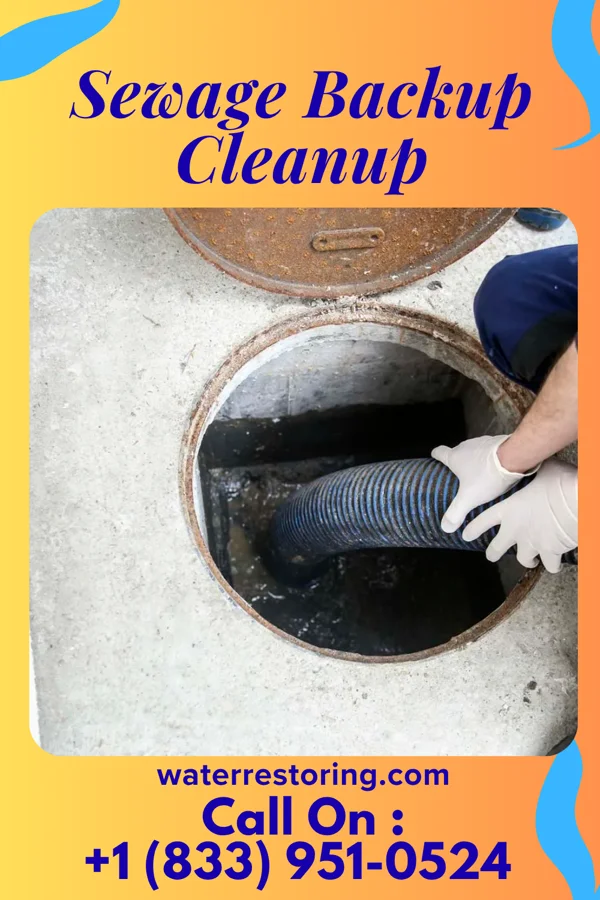 Sewage Backup Cleanup in Cedar Glen Lakes, NJ