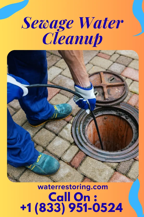 Sewage Water Cleanup in Cedar Glen Lakes, NJ