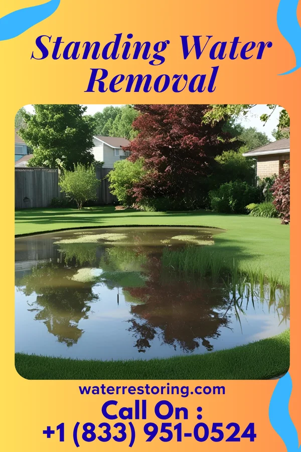 Standing Water Removal in Cedar Glen Lakes, NJ
